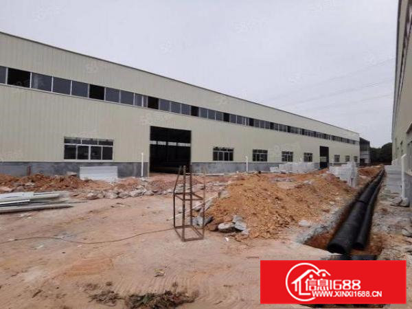 常平漱新原房东全新5000平方单一层钢结构厂房出租