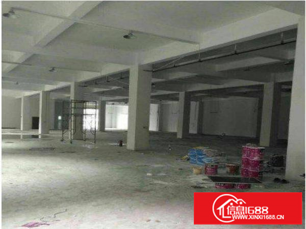 平湖新木村委一楼1000平标准厂房招租形象好