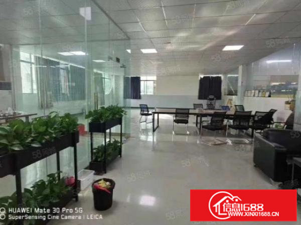 清溪镇中心新出原房东二楼1200平厂房，实际面积无公摊