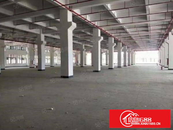 常平原房东独院厂房15层3万平，配套宿舍饭堂空地1万平