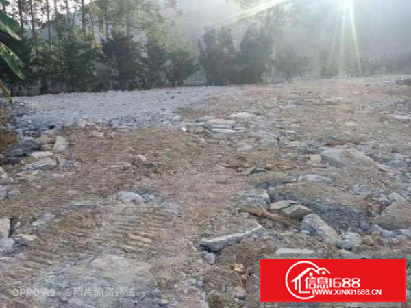 平湖山厦社区13000平空地出租证件齐全地理位置好