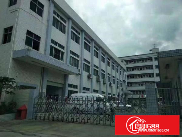 虎门原房东分租楼上一整层1500平厂房出租！