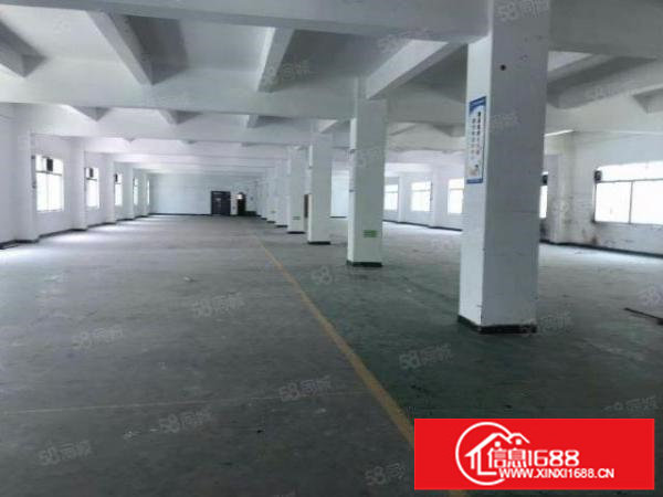 大浪新出整栋4600（原房东厂房自己招租）可分层出租