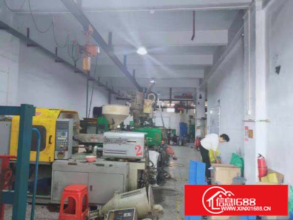 塘厦莲湖新出原房东一楼980平厂房出租带行车办公室