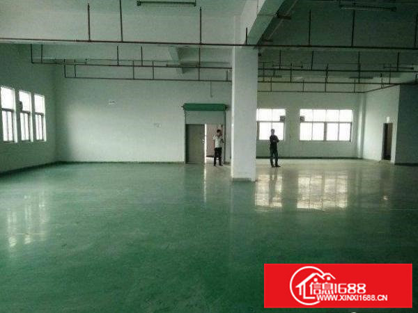 常平桥梓一楼2200平方标准厂房(带豪华装修出租)