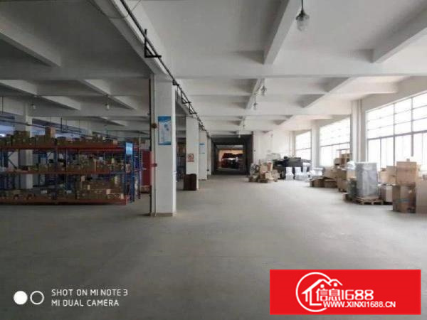 容桂新出标准700方，厂房形象漂亮，采光好，价格便宜