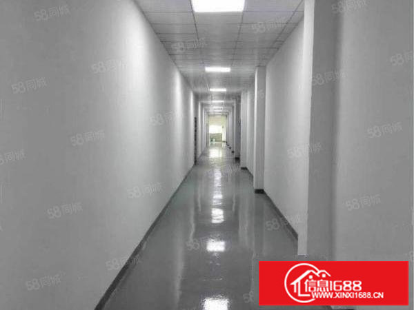 布吉信义新出工业园厂房1000平红本厂房喷淋消分租