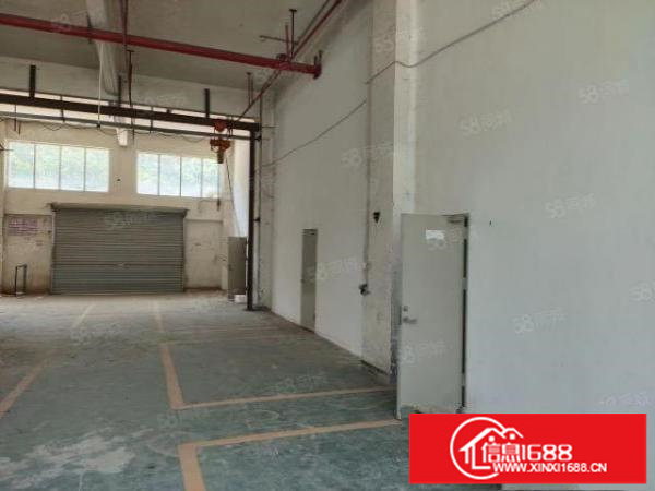 桂花路旁350平，豪华装修，全新地坪漆，靠近梅观高速