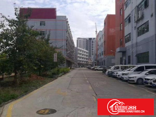 低价厂房100平，245平，800平，不限制行业，给钱就租！