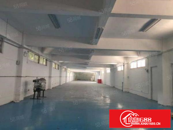 高埗高龙路小独栋超靓厂房出租