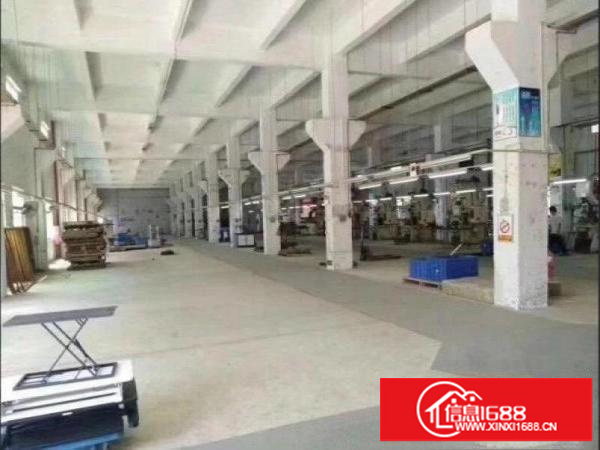龙岗区同乐工业区一楼1500平方分租800平方