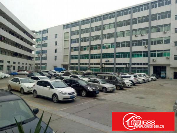 官井头工业区新出豪华装修2400平米低价出租可分租