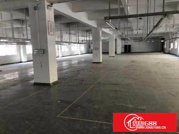 原房东独院厂房，一栋两层3600平方米，消防喷淋，空地超大