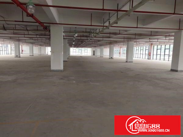横岗六约创意园十万平可分租交通便利合同长车位足