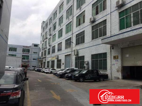 长安沙头村一楼650平米厂房出租，高5米，适合模具注塑五金等