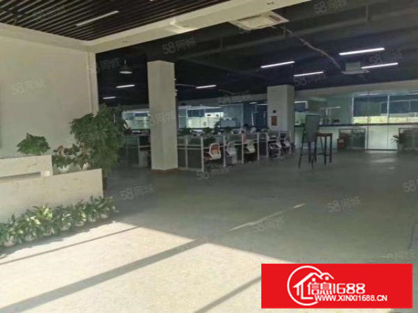 观澜观光路边上新出独栋7800平方厂房出租