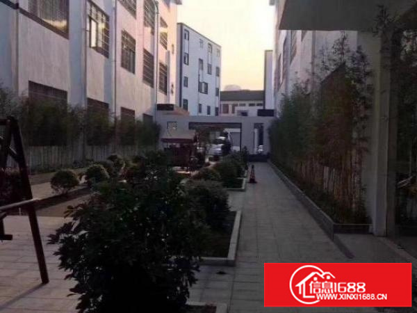 坂田光雅园电商园区仓库带办公室318方