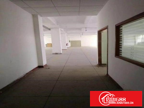 厂房出租龙岗吉祥爱南路边新出精装修厂房500平报价20元可分