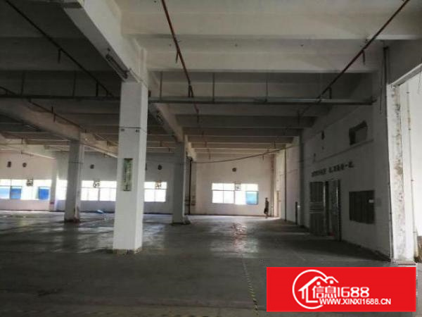 实力房东，业主！里水500;650;850;1千平方一楼厂房