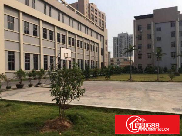 西溪一楼高度七米带牛角原房东厂房面积1000平