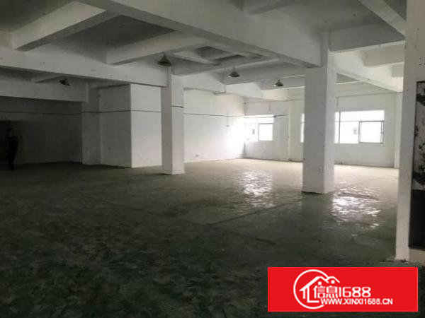 塘厦新出厂房20一平看上可以谈