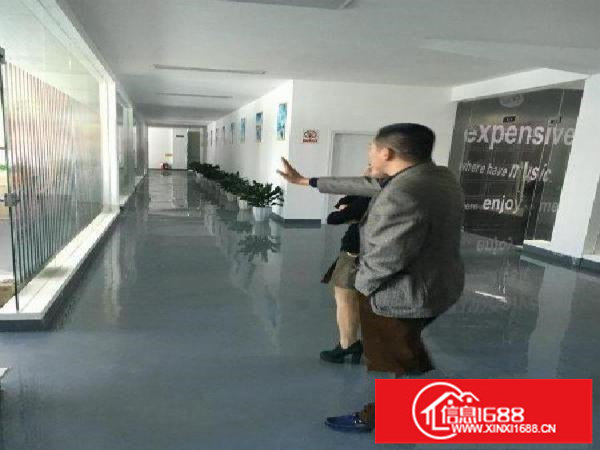 龙岗宝龙新出独院11000厂房 办公楼可分租