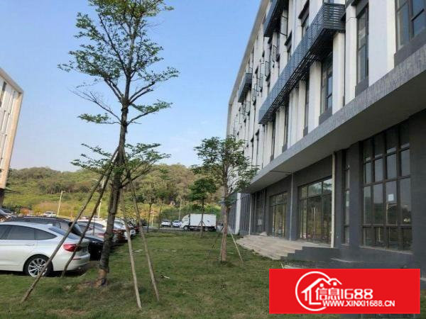 清溪花园式厂房出租无公摊