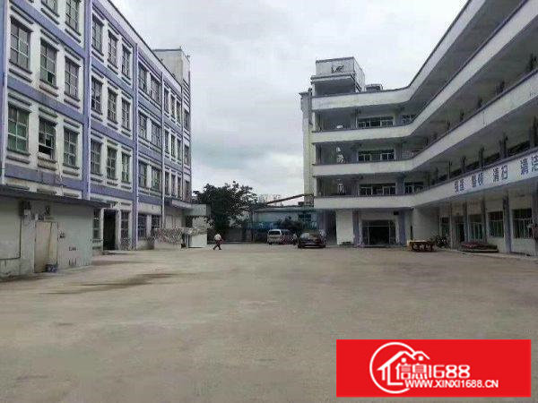 龙岗宝龙标准厂房出租一楼1850平方层高5米带装修