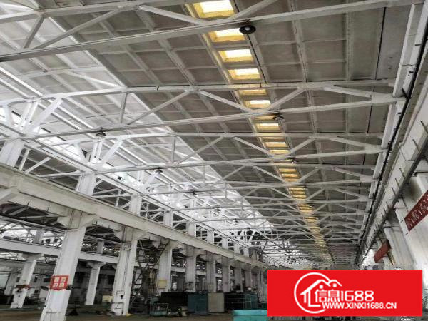 坪山石井新出滴水10米钢构厂房3000平招租（可分租）