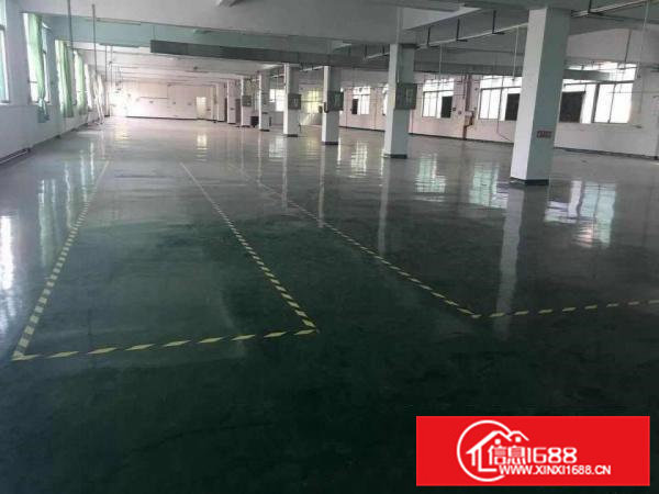 高埗超大超靓标准工业园2000平方厂房出租2楼带电