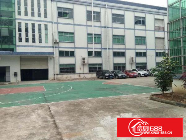 塘厦镇沙湖新出8米高钢构厂房