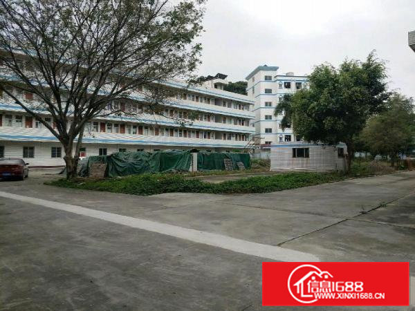 原房东独院厂房出租，