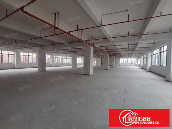 大岭山杨屋107国道边全新厂房出租，大小可分租，价格实惠！