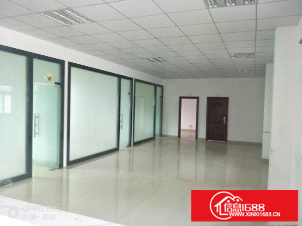 坪山石井田心新出9米高钢构厂房2800平米出租