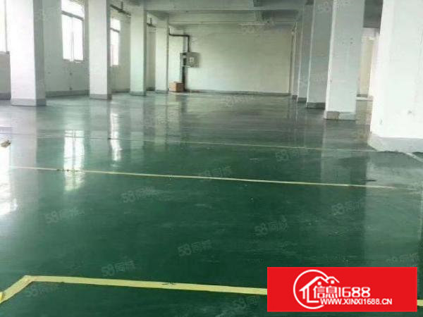 常平新出全新地坪漆二楼1300平10元四楼650平8元出租