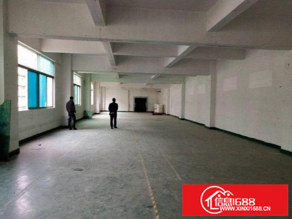 龙岗一楼厂房生产仓库500平起分租