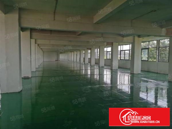 石碣镇涌口村6400方厂房招租可分租800方独立电梯一家用