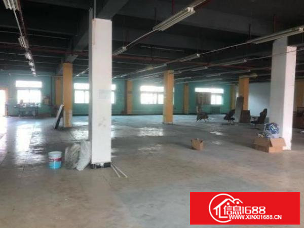 超低价厂房10元不到