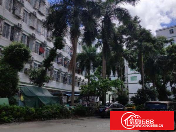 坂田五和地铁附近园区红本厂房1260平方带精装修办公室和车间