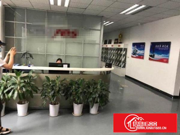 洁净车间豪华办公室,无转让费,1000平,超低价