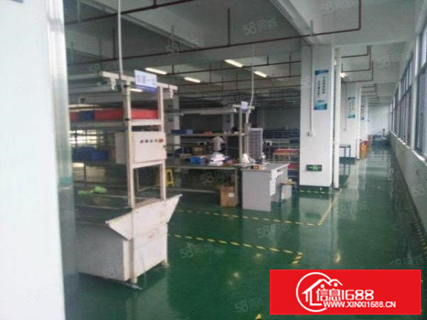 清溪三中独院标准2楼1500平方！双面采光!可办环评