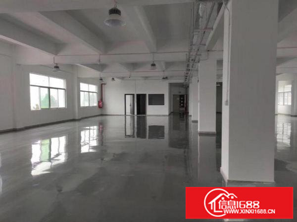 龙岗新生龙岗大道边百万装修免费用900平方出租