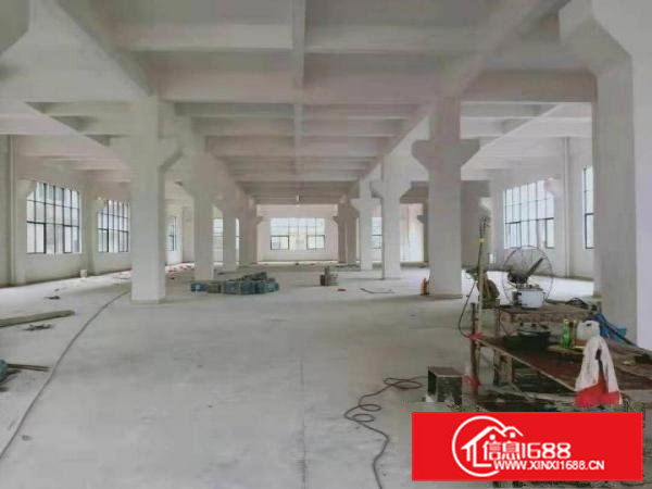 横沥镇新出全新独栋厂房4800平方，带3吨货梯！可分租