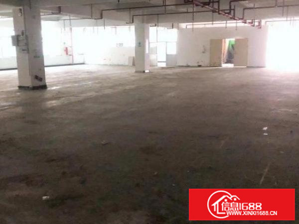 虎门白沙新兴路32号低价出租