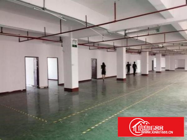 西乡富源工业城楼上精装修1300平，先到先得！