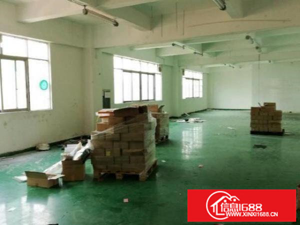 鹅公岭新出290平二楼带水电装修有电梯户型方正