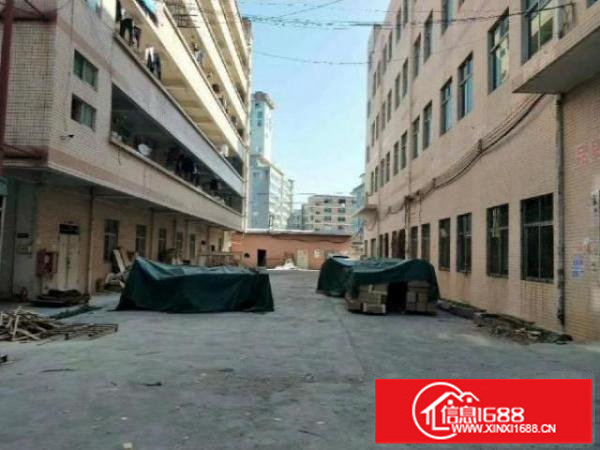 龙岗五联独门独院厂房1375平厂房出租，可大小分租