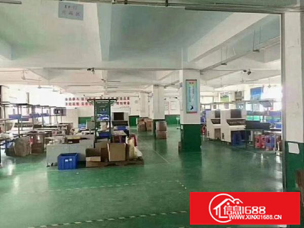 平湖华南城附近新出标准厂房一楼500平方，业主直招