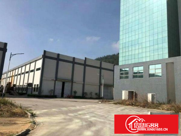 大型重工业滴水12米高钢构红本厂房