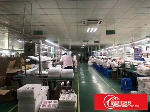 精装修原房东东莞市塘厦镇科苑城楼上1500平米厂房出租